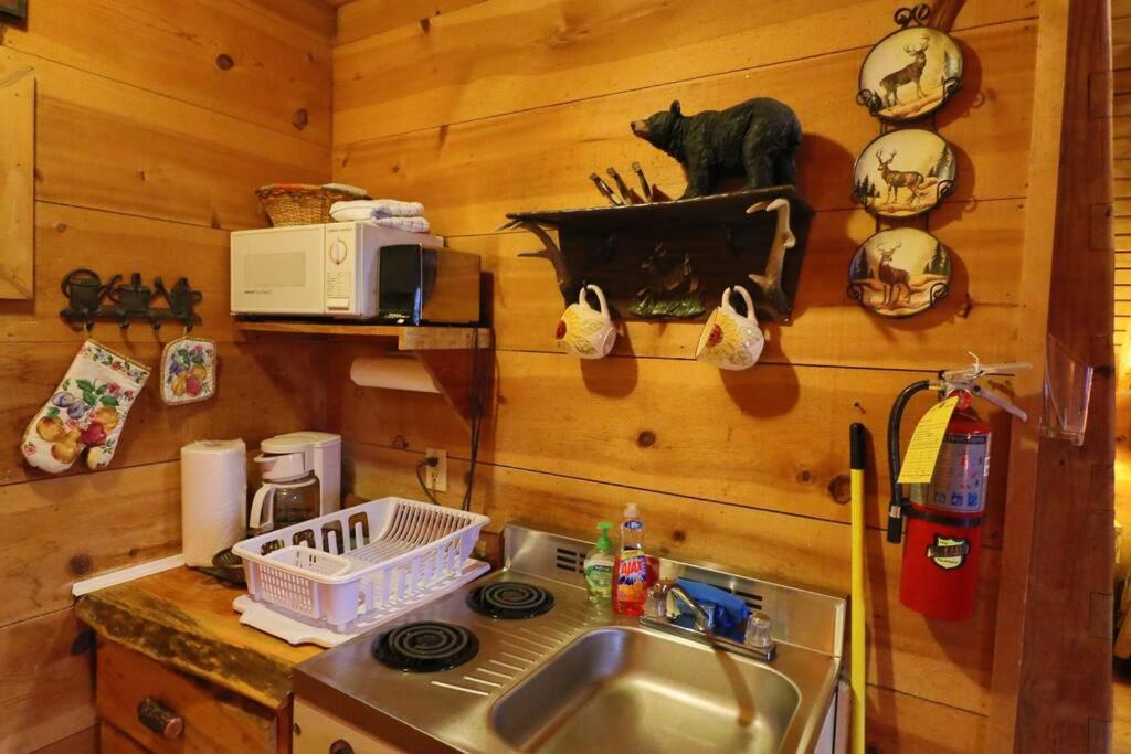 Cozy Cabin W/ Fireplace 3 Minutes To Helen! #2. Exteriér fotografie